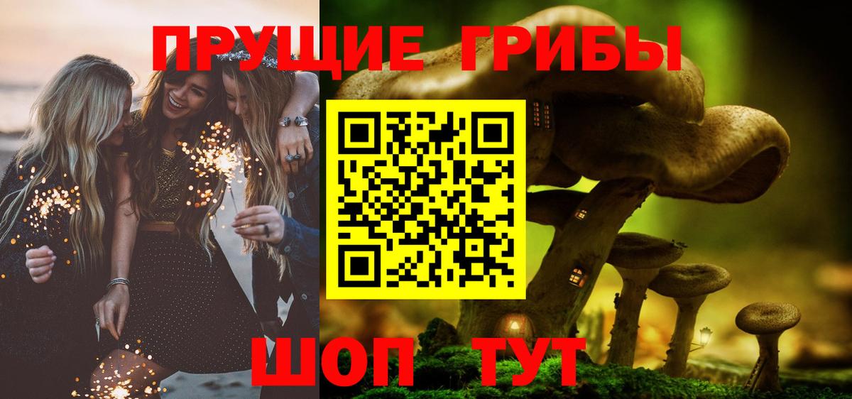 Галлюциногенные грибы GOLDEN TEACHER  Вход с VPN  Нефтекумск 